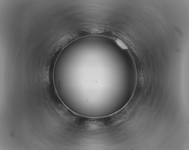 X0000112820512200908211209