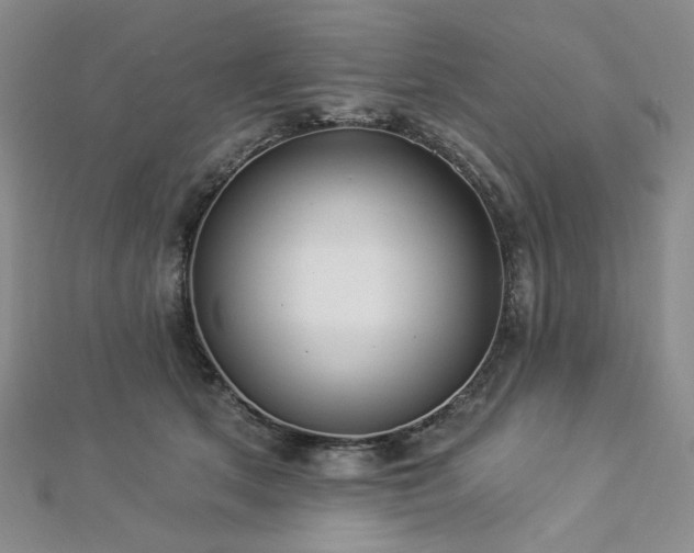 X0000112820513200908211209