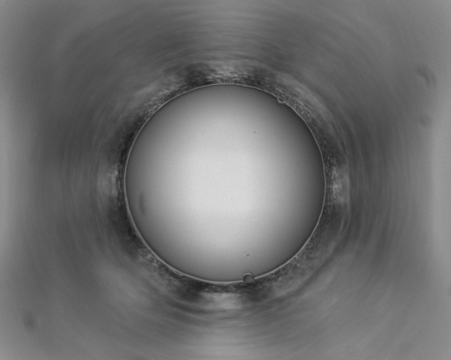 X0000112820514200908211209