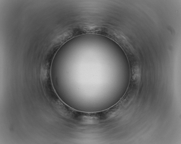 X0000112820515200908211209