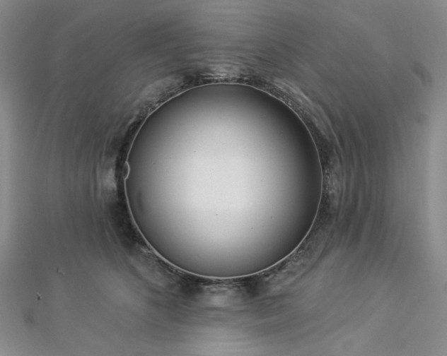X0000112820516200908211209