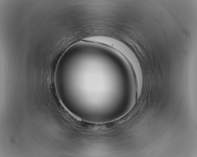 X0000112820517200908211209