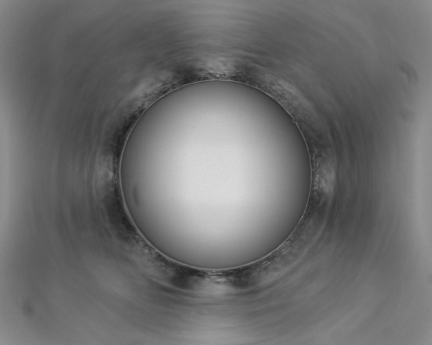 X0000112820518200908211209