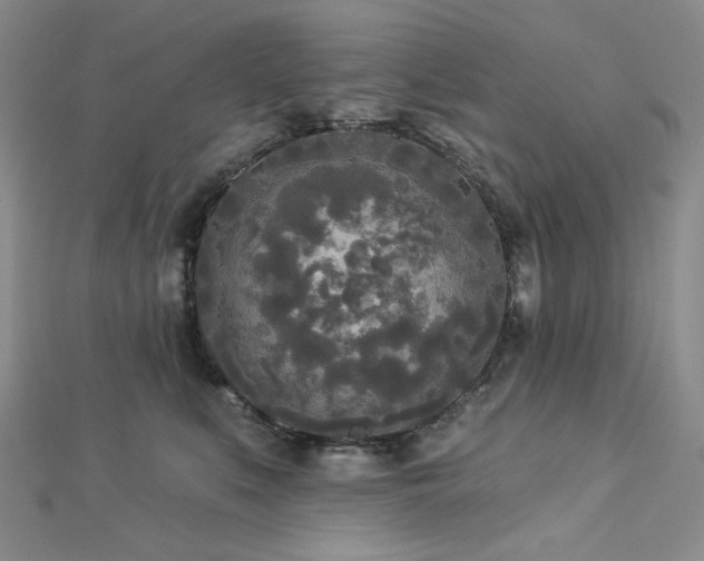 X0000112820519200908211208