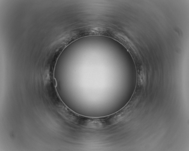 X0000112820520200908211208