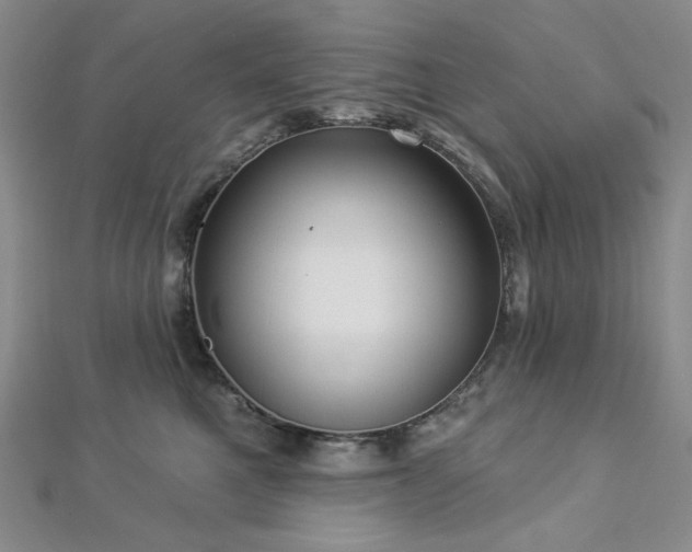 X0000112820521200908211208