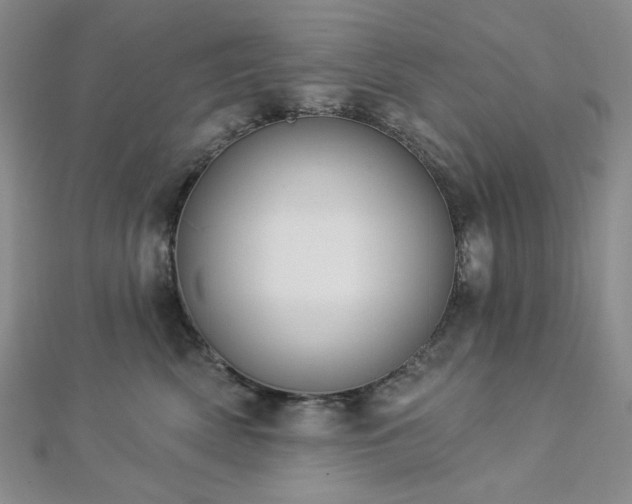 X0000112820522200908211208