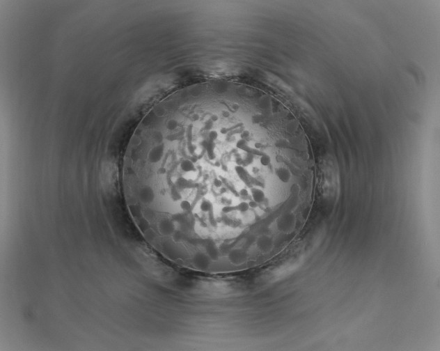 X0000112820523200908211208
