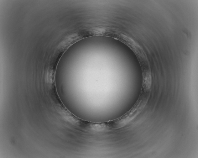 X0000112820525200908211208