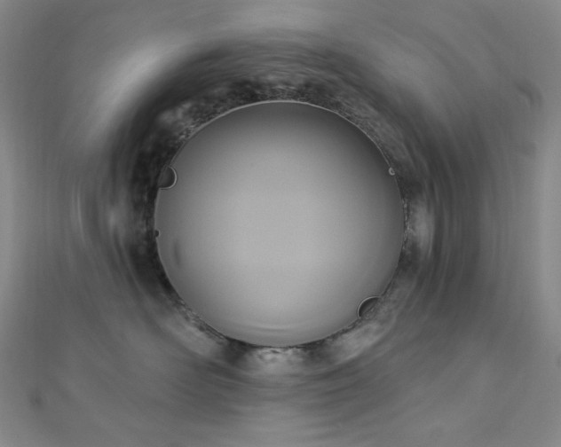 X0000112820526200908211208