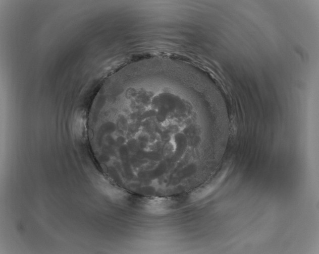 X0000112820527200908211208