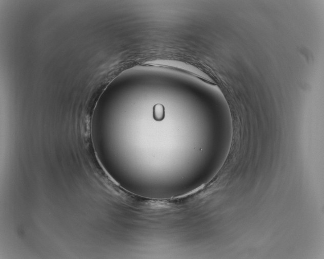 X0000112820528200908211208