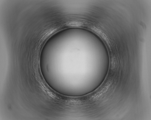 X0000112820529200908211208