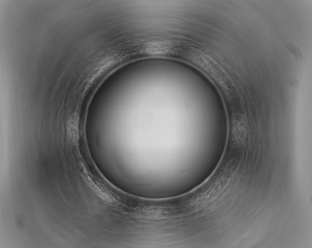 X0000112820530200908211208