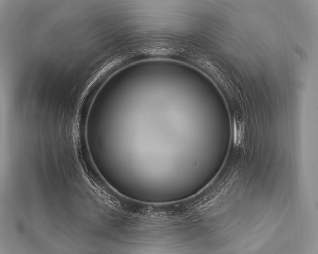 X0000112820531200908211208