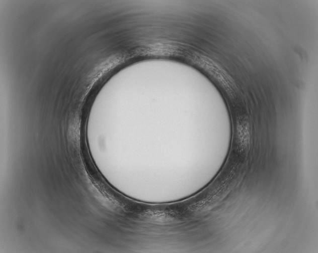 X0000112820534200908211208
