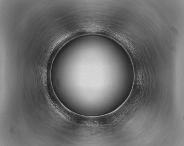 X0000112820535200908211208