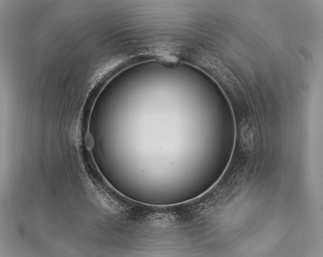 X0000112820536200908211208