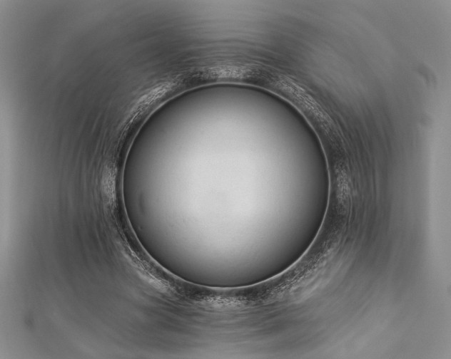 X0000112820537200908211208