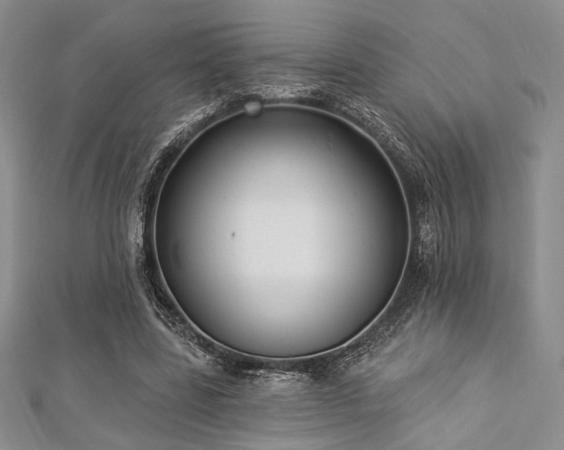X0000112820539200908211208