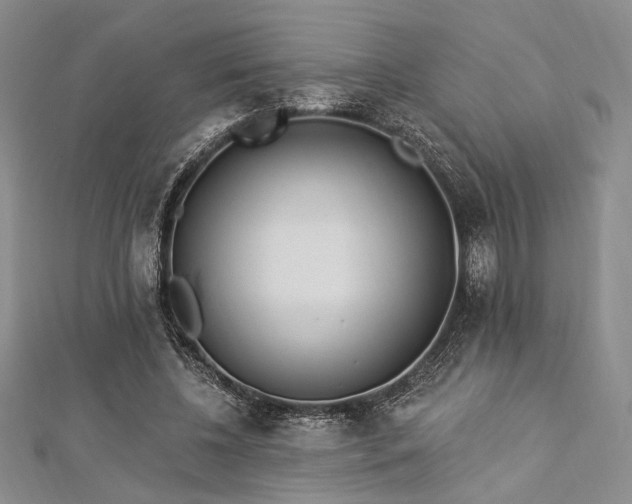 X0000112820540200908211208