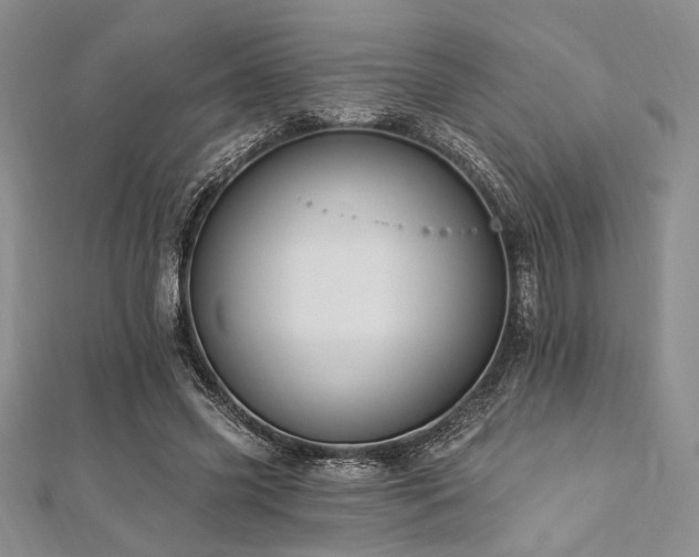 X0000112820541200908211208