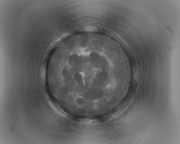 X0000112820542200908211208