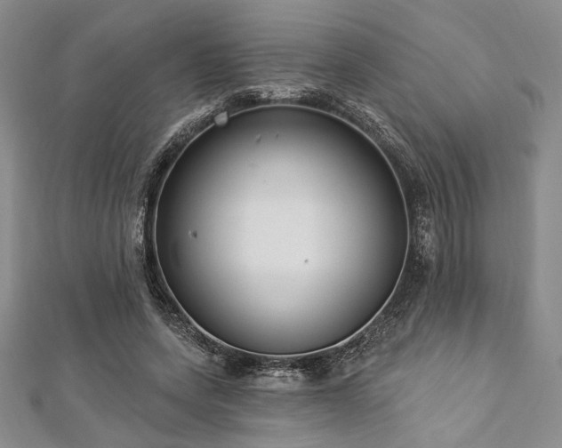 X0000112820543200908211208