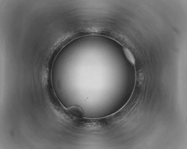 X0000112820544200908211208