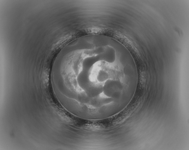 X0000112820545200908211208