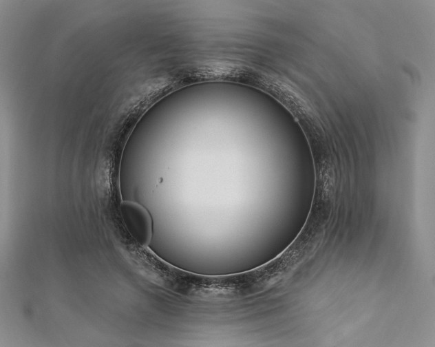 X0000112820546200908211208