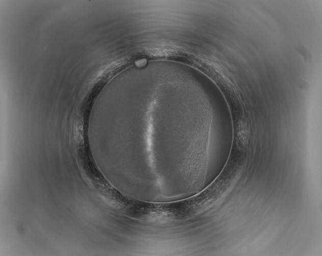 X0000112820547200908211208