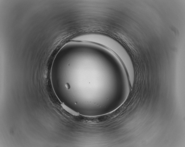 X0000112820548200908211208