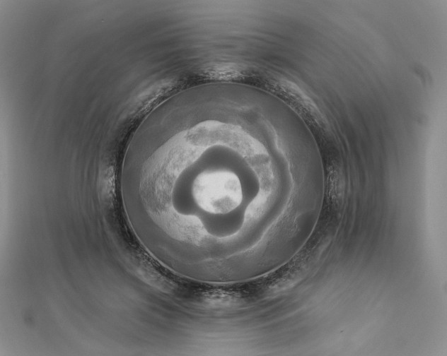 X0000112820549200908211208
