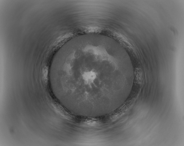 X0000112820550200908211208