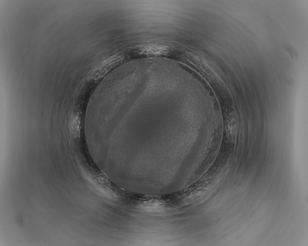 X0000112820551200908211208