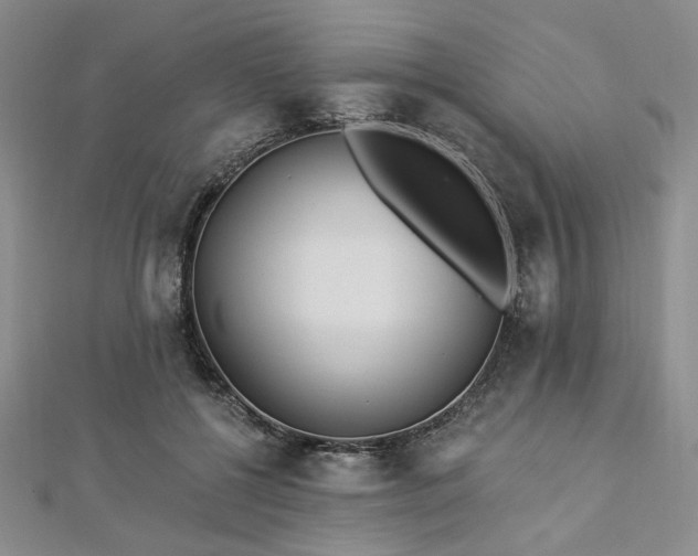 X0000112820552200908211208