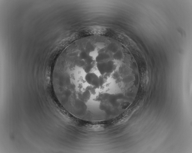 X0000112820553200908211208