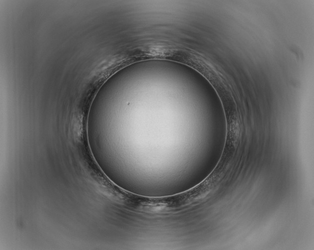 X0000112820554200908211208