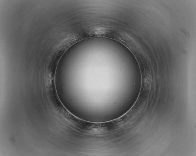 X0000112820555200908211208