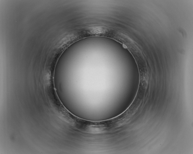 X0000112820556200908211208