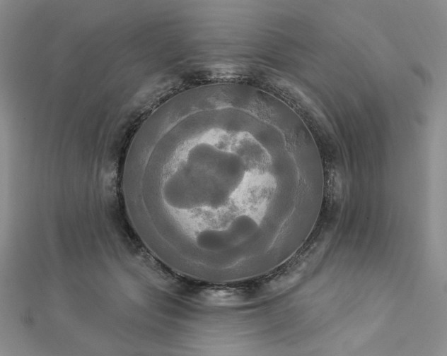 X0000112820557200908211208
