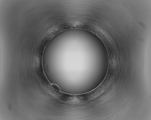 X0000112820558200908211208