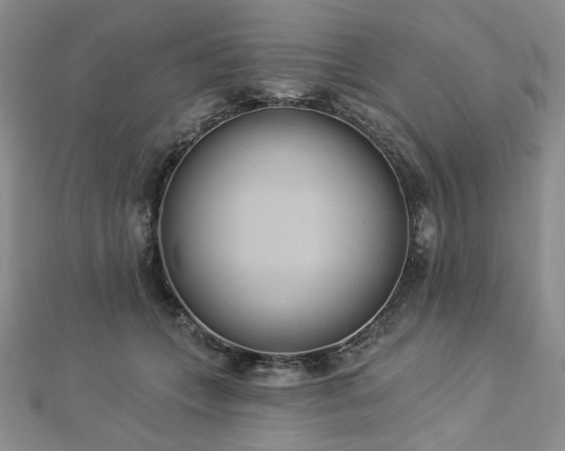 X0000112820559200908211208