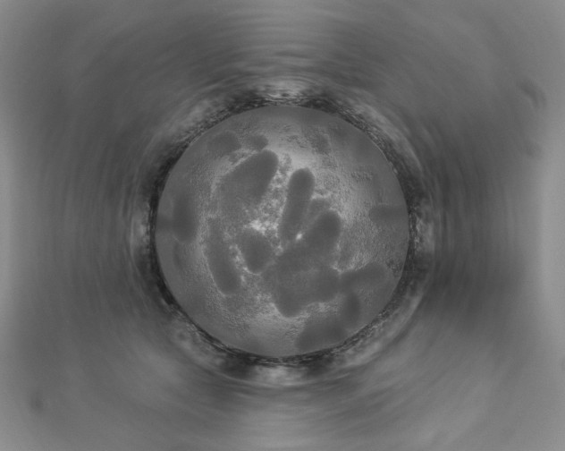 X0000112820561200908211208