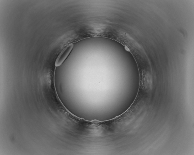 X0000112820562200908211208