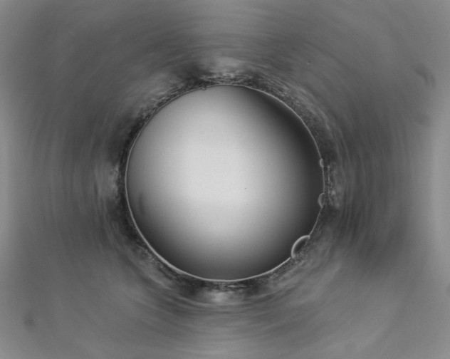 X0000112820563200908211208