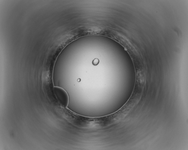 X0000112820564200908211208
