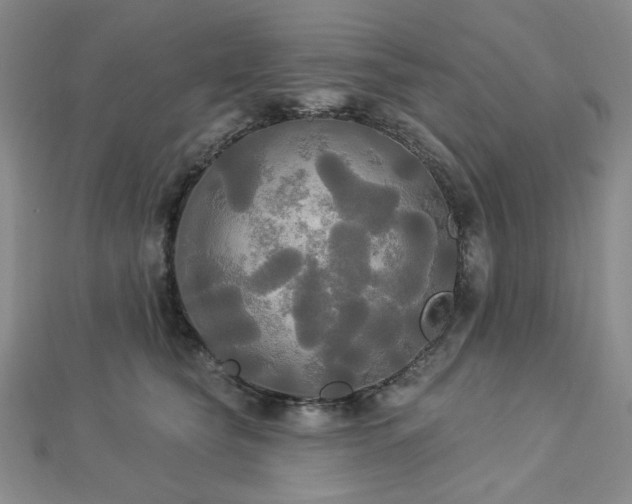 X0000112820565200908211208