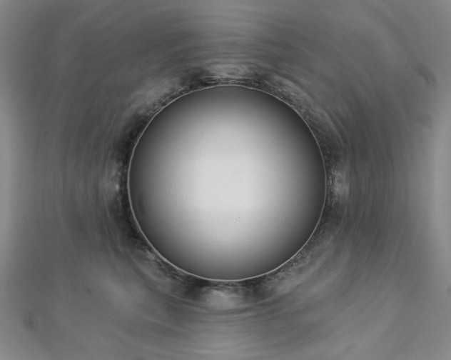 X0000112820567200908211208